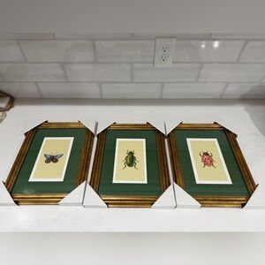 Rifle Paper Co 11"x14" Gold Foil Insect Poster Framed Wall Art Prints